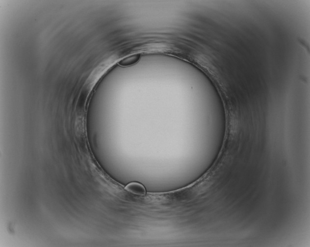 X0000103431473200809191649
