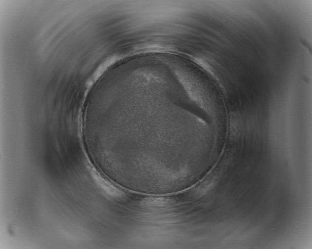 X0000103431474200809191649