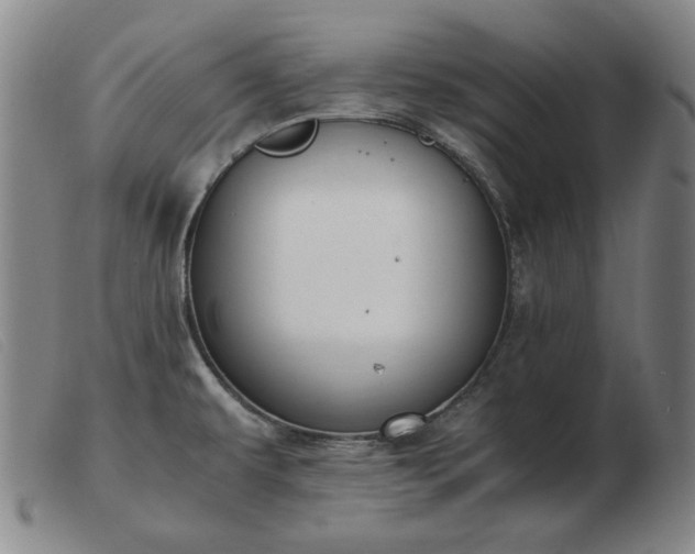 X0000103431479200809191649