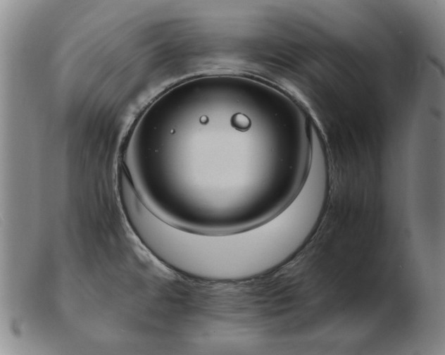 X0000103431480200809191649