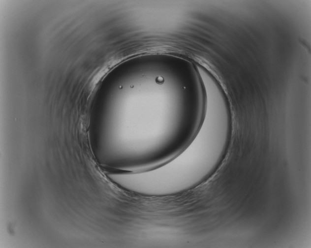 X0000103431481200809191649