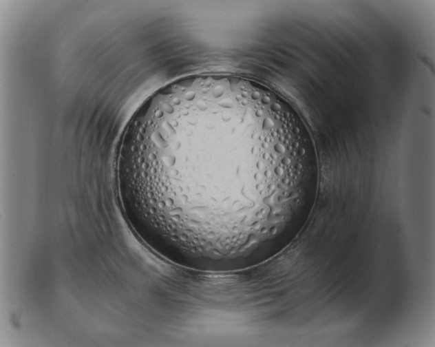 X0000103431483200809191649