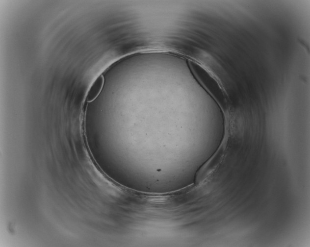X0000103431484200809191649