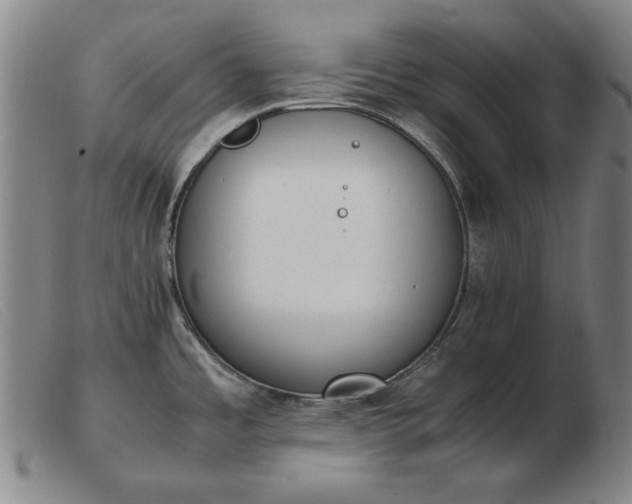 X0000103431485200809191649