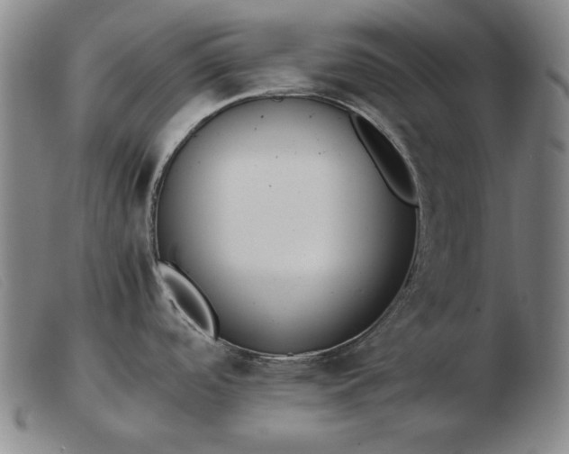 X0000103431488200809191649