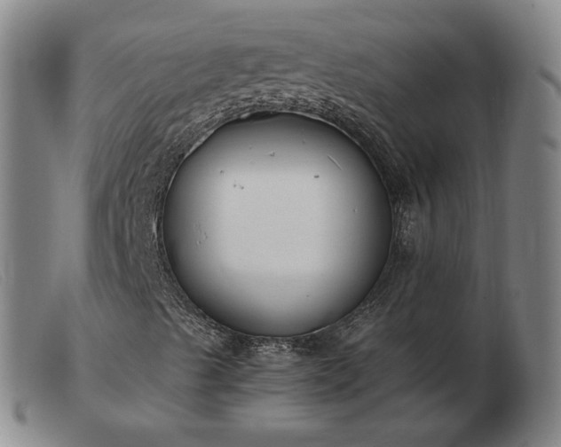 X0000103431489200809191648