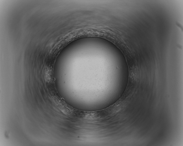 X0000103431490200809191648