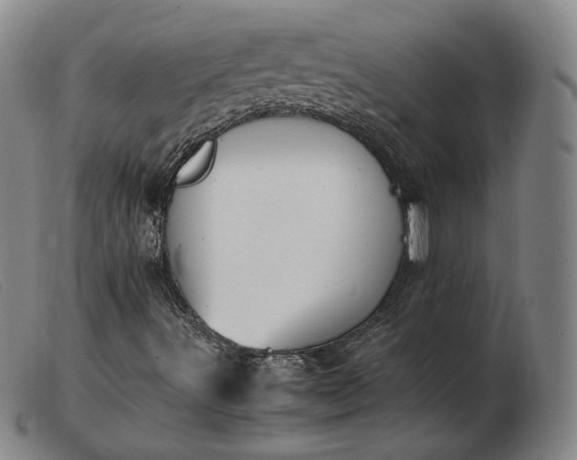 X0000103431491200809191648