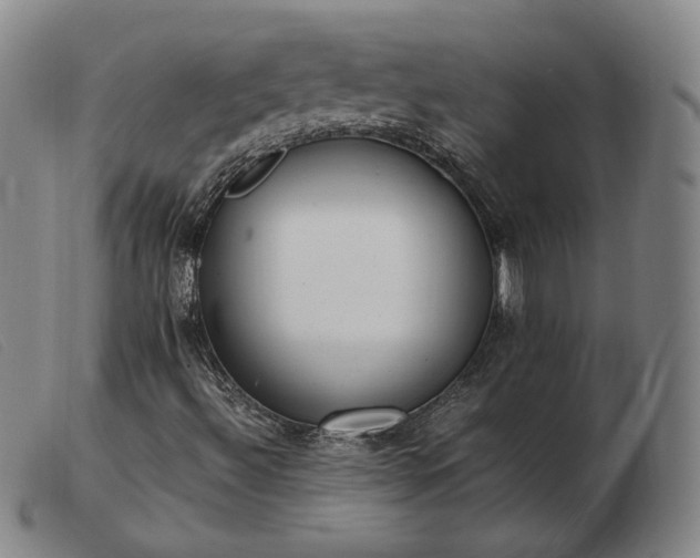 X0000103431492200809191648