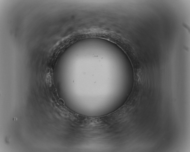 X0000103431493200809191648