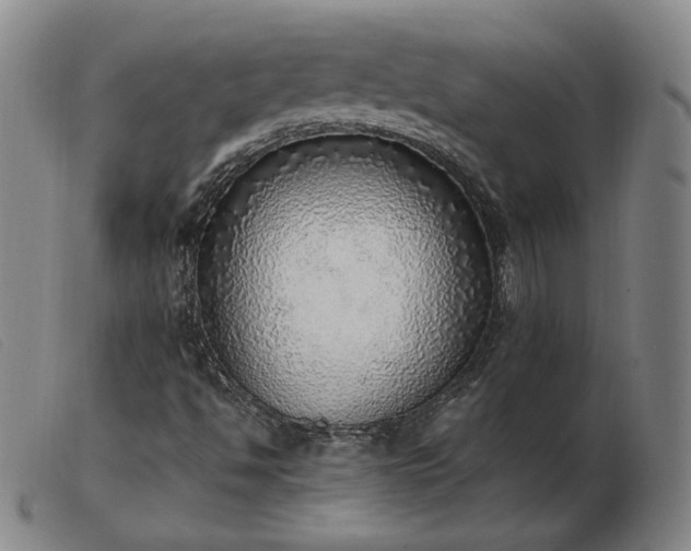 X0000103431494200809191648