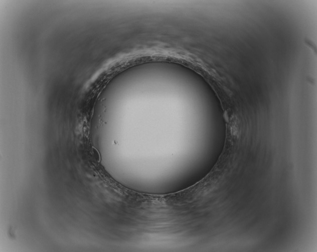 X0000103431495200809191648