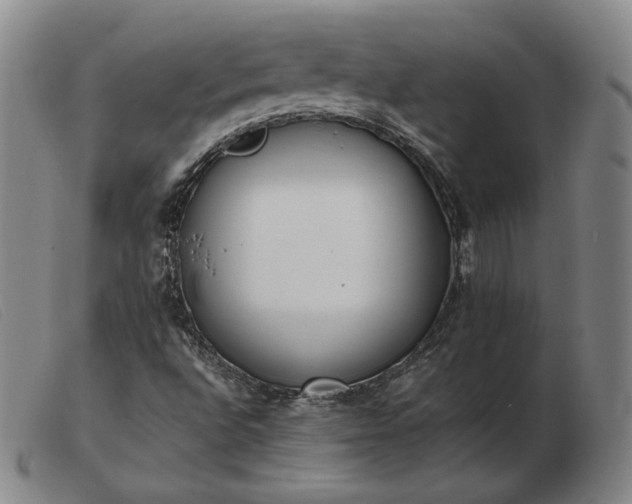 X0000103431496200809191648