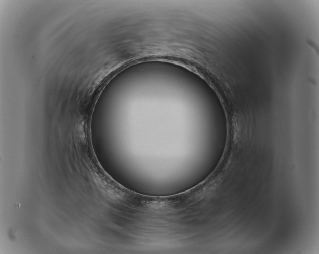 X0000103431497200809191648
