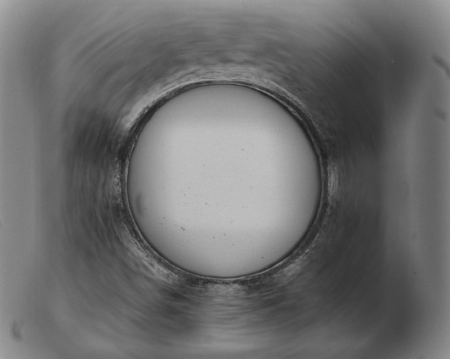 X0000103431498200809191648