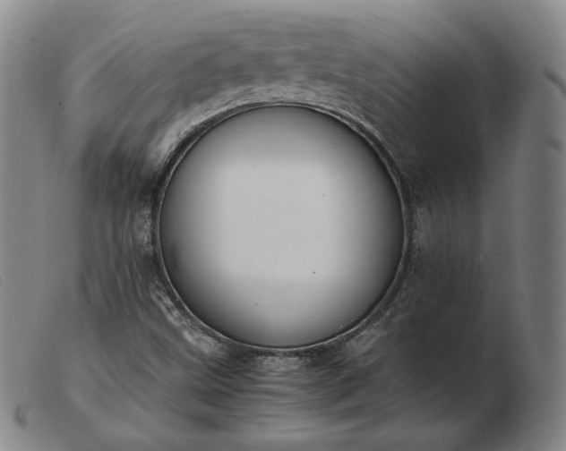 X0000103431499200809191648