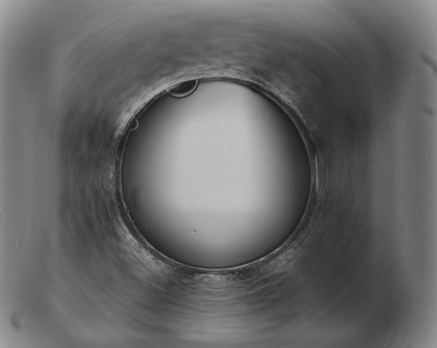 X0000103431500200809191648
