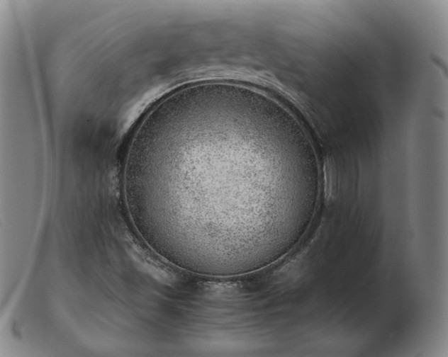 X0000103431501200809191648