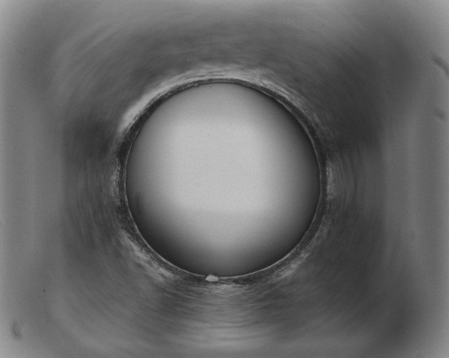X0000103431502200809191648