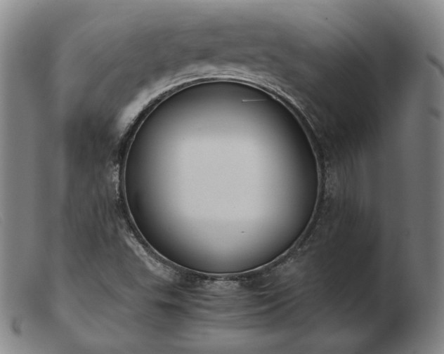 X0000103431503200809191648