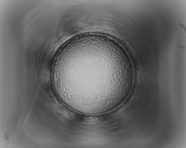 X0000103431505200809191648