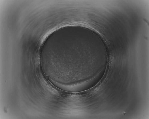 X0000103431506200809191648