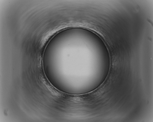 X0000103431507200809191649