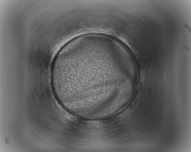 X0000103431508200809191649