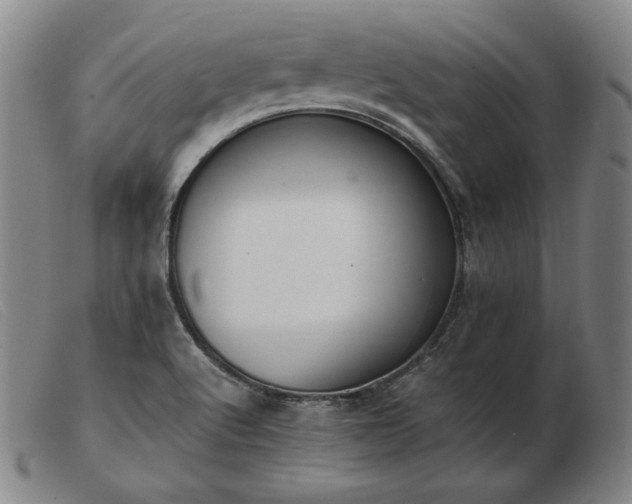 X0000103431512200809191649