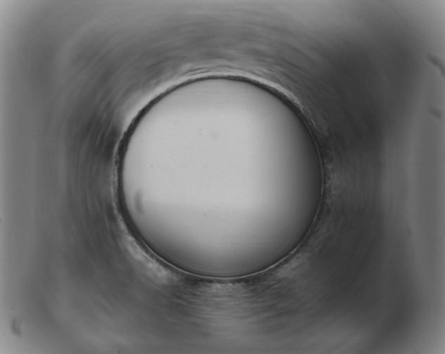 X0000103431518200809191649