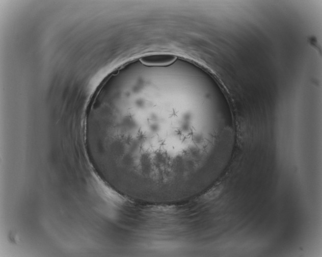 X0000103431519200809191649
