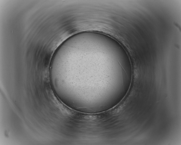 X0000103431521200809191649