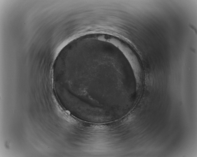 X0000103431522200809191649