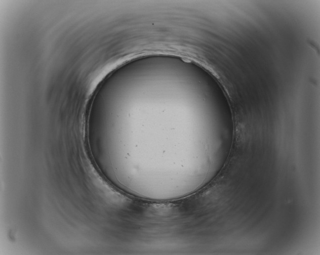 X0000103431523200809191649