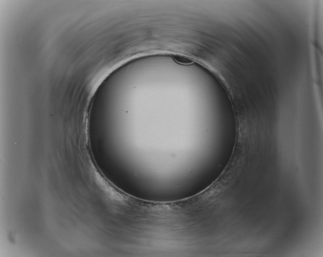 X0000103431524200809191649