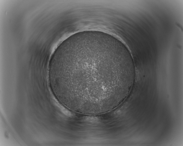 X0000103431525200809191649