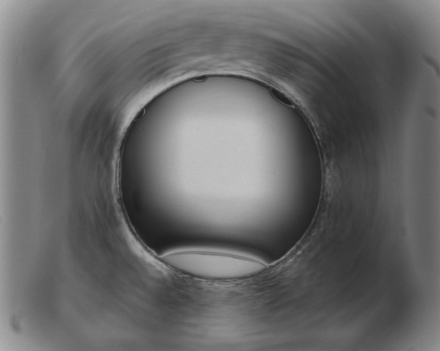 X0000103431528200809191649