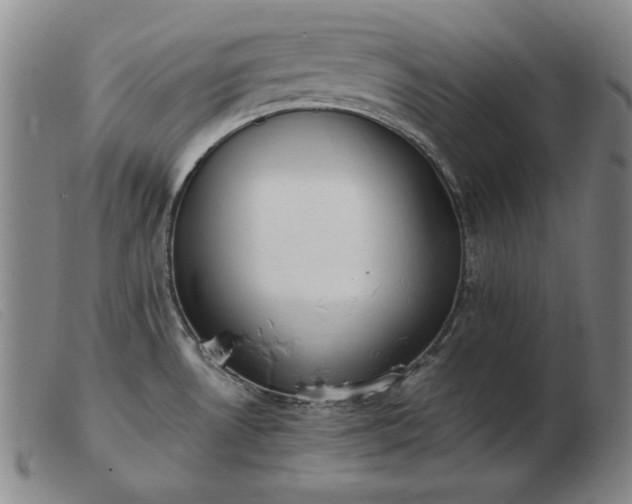 X0000103431530200809191649