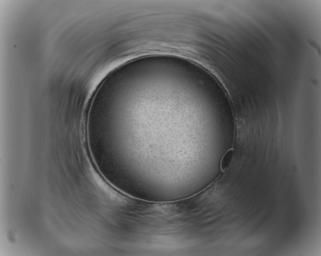 X0000103431531200809191649