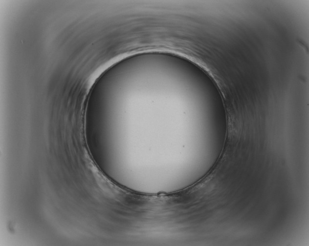 X0000103431534200809191649