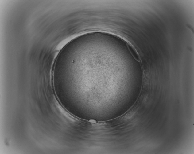 X0000103431535200809191649