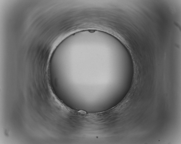 X0000103431536200809191649