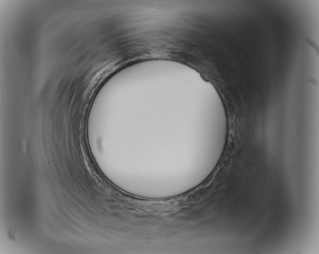 X0000103430001200809261742