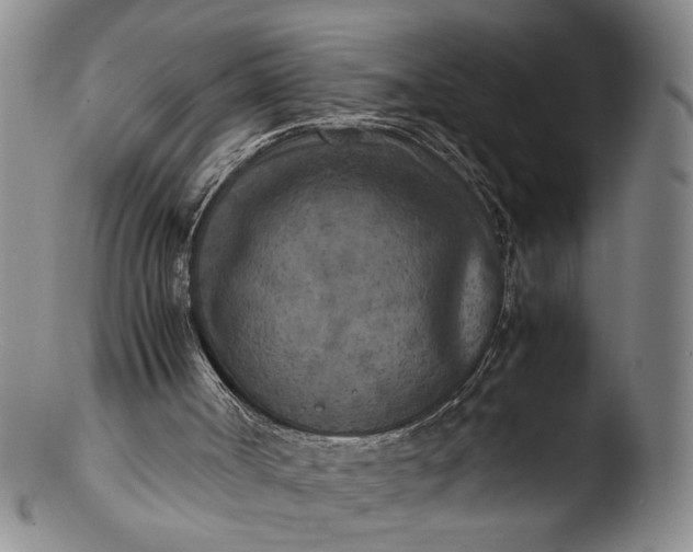 X0000103430002200809261742