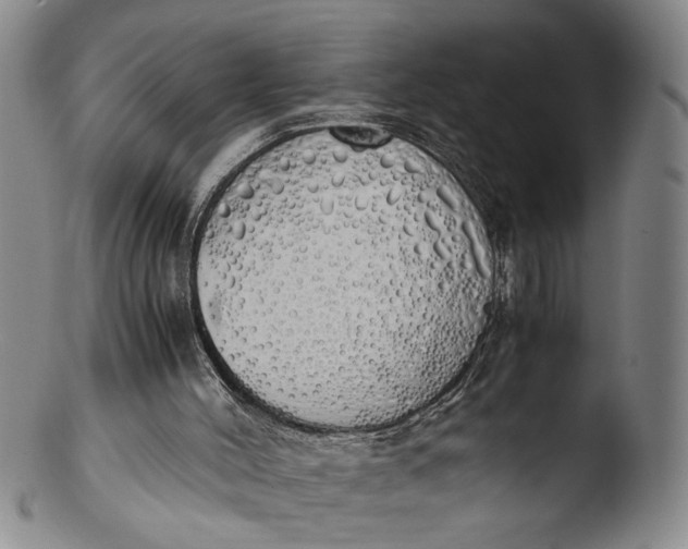 X0000103430004200809261742