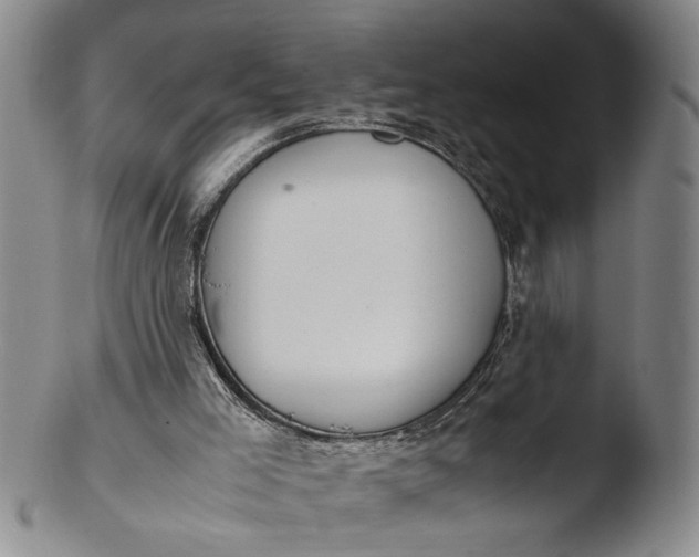 X0000103430005200809261742