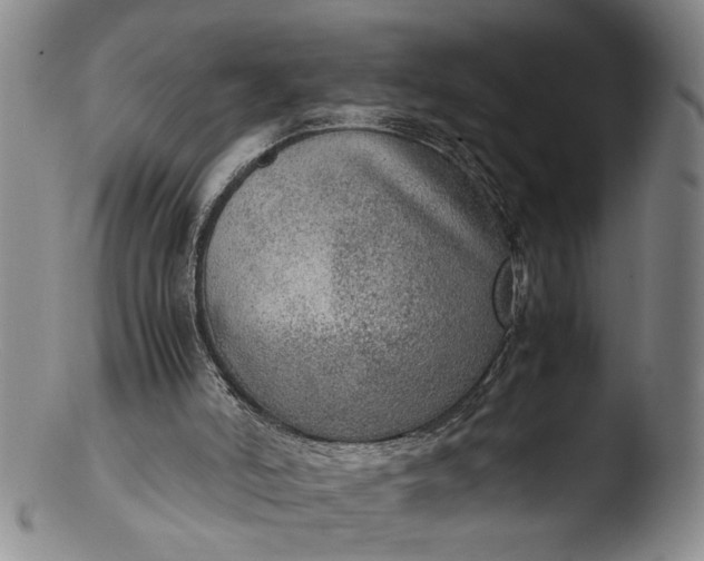 X0000103430006200809261742