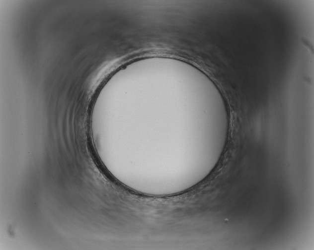 X0000103430007200809261742