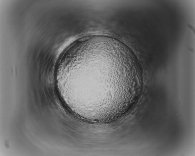 X0000103430008200809261742