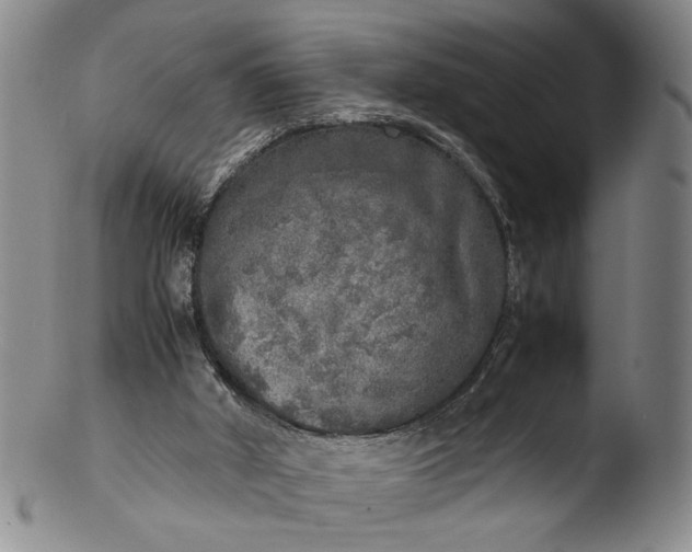 X0000103430010200809261742